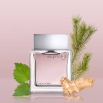 Calvin Klein Euphoria For Men EDT 100ml - Image 3