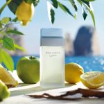 Dolce & Gabbana Light Blue EDT 100ML - Image 3