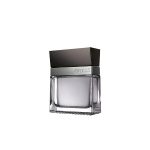 Guess Seductive Homme EDT 100ml