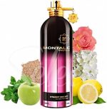 Montale Starry Nights EDP 100ml - Image 3