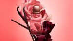 Narciso Rodrigzue All Of Me Intense EDP - Image 4